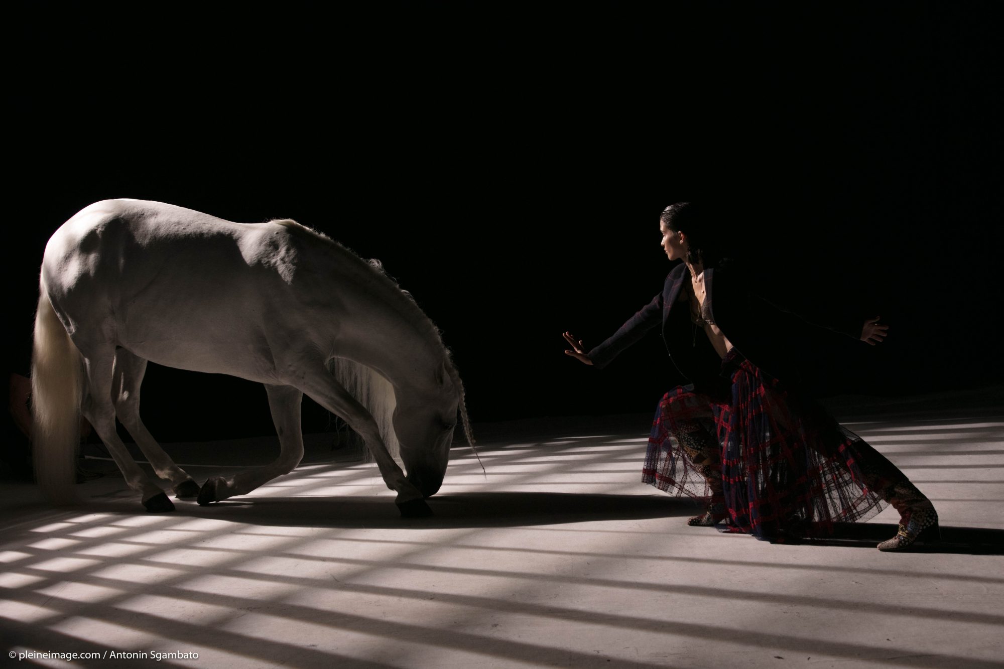 Cheval blanc et danseuse dans une lumière rayée, sur le plateau
